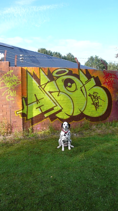 Scotland, Aroe, graffiti, Ironlak