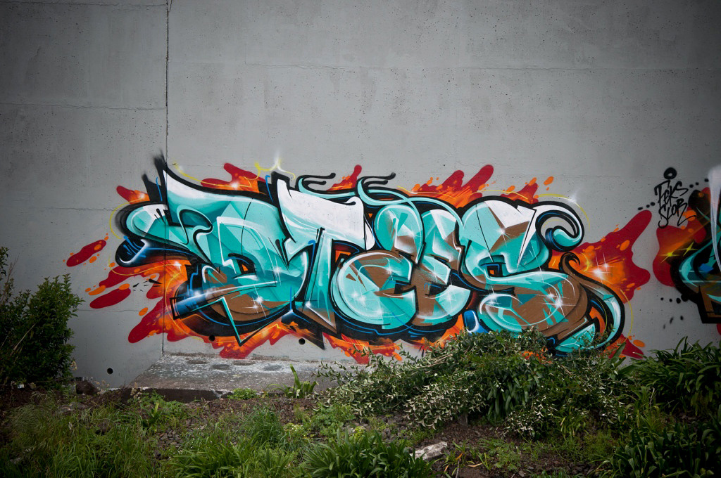 SOFLES, New Zealand, DTEES, graffiti, Ironlak