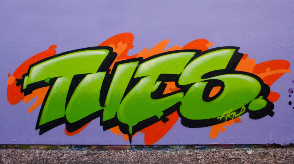 LINZ, RUSTE, STAER, PALMS, NOKS, DYMS, TUES , Adlib, graffiti, Ironlak