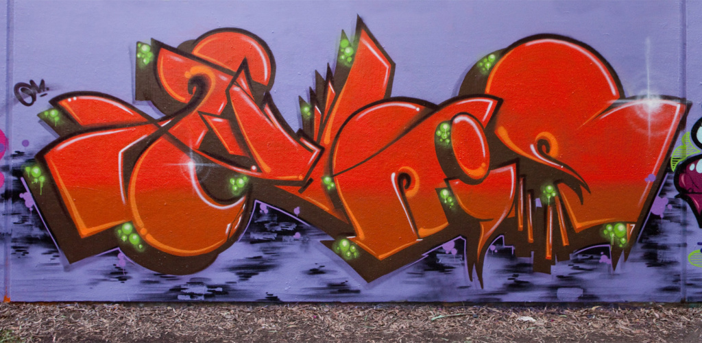 LINZ, RUSTE, STAER, PALMS, NOKS, DYMS, TUES , Adlib, graffiti, Ironlak