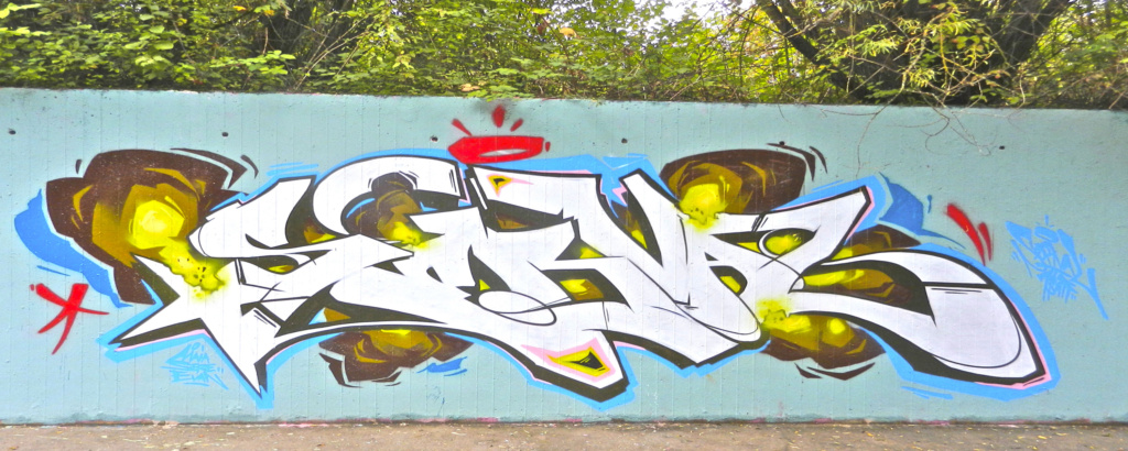 Serval, graffiti, Ironlak