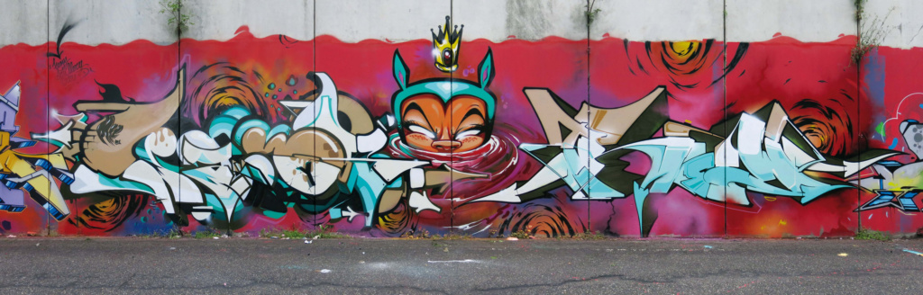 MR. WANY, Italy, graffiti, Ironlak