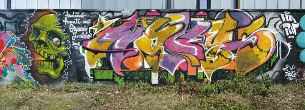 Mr Wany, Italy, graffiti, Ironlak