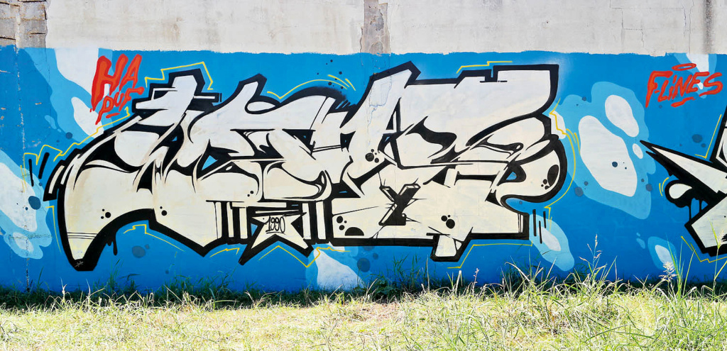 MR WANY, Italy, graffiti, ironlak