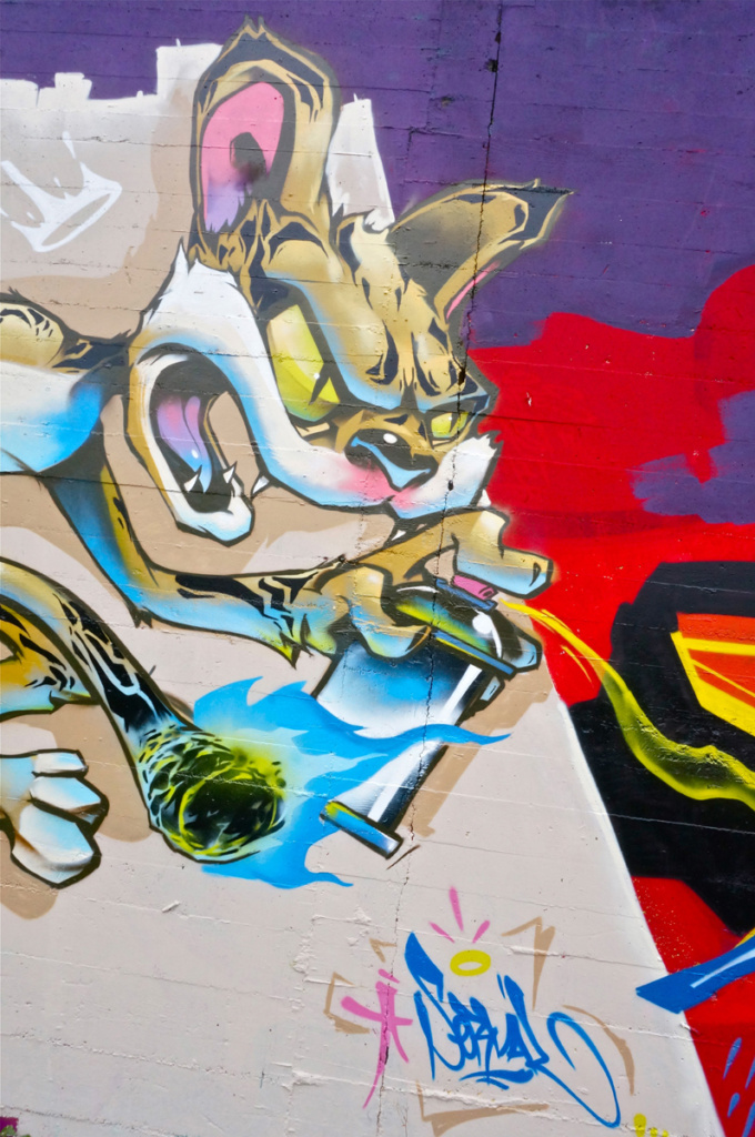 SERVAL, graffiti, Ironlak