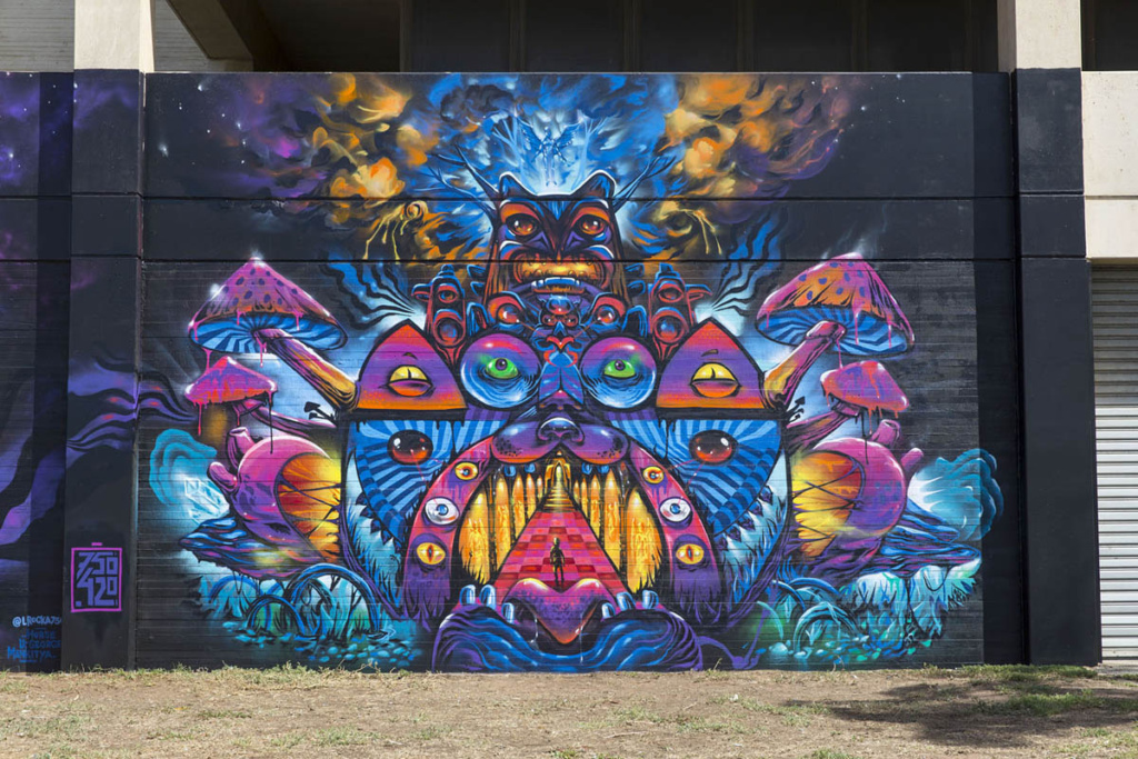 Wonderwalls Festival, Luke Shirlaw, Adelaide, graffiti, Ironlak