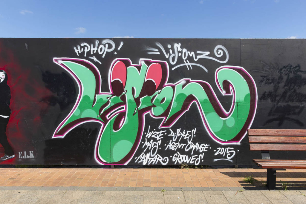 Wonderwalls Festival, Luke Shirlaw, Adelaide, graffiti, Ironlak