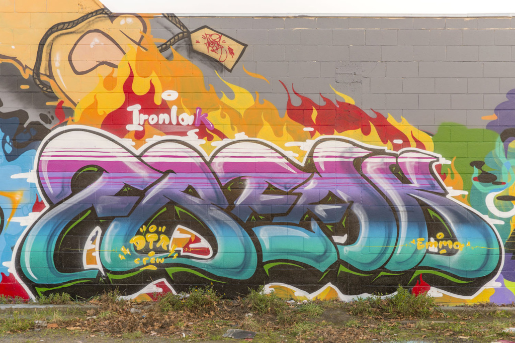 New Zealand, VANS the OMEGA, ASKEW, BERST, PHAT1, Dymskov, graffiti, Ironlak