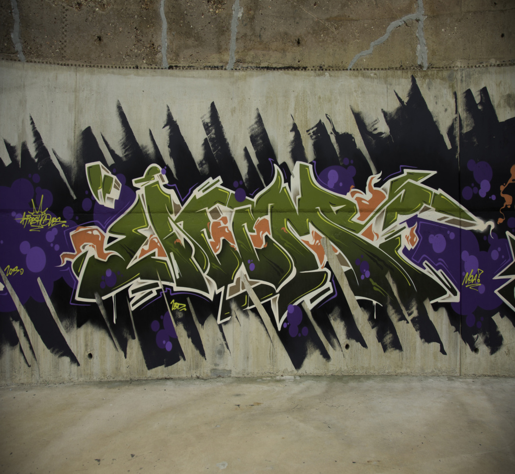 SIRUM, Darwin, graffiti, Ironlak