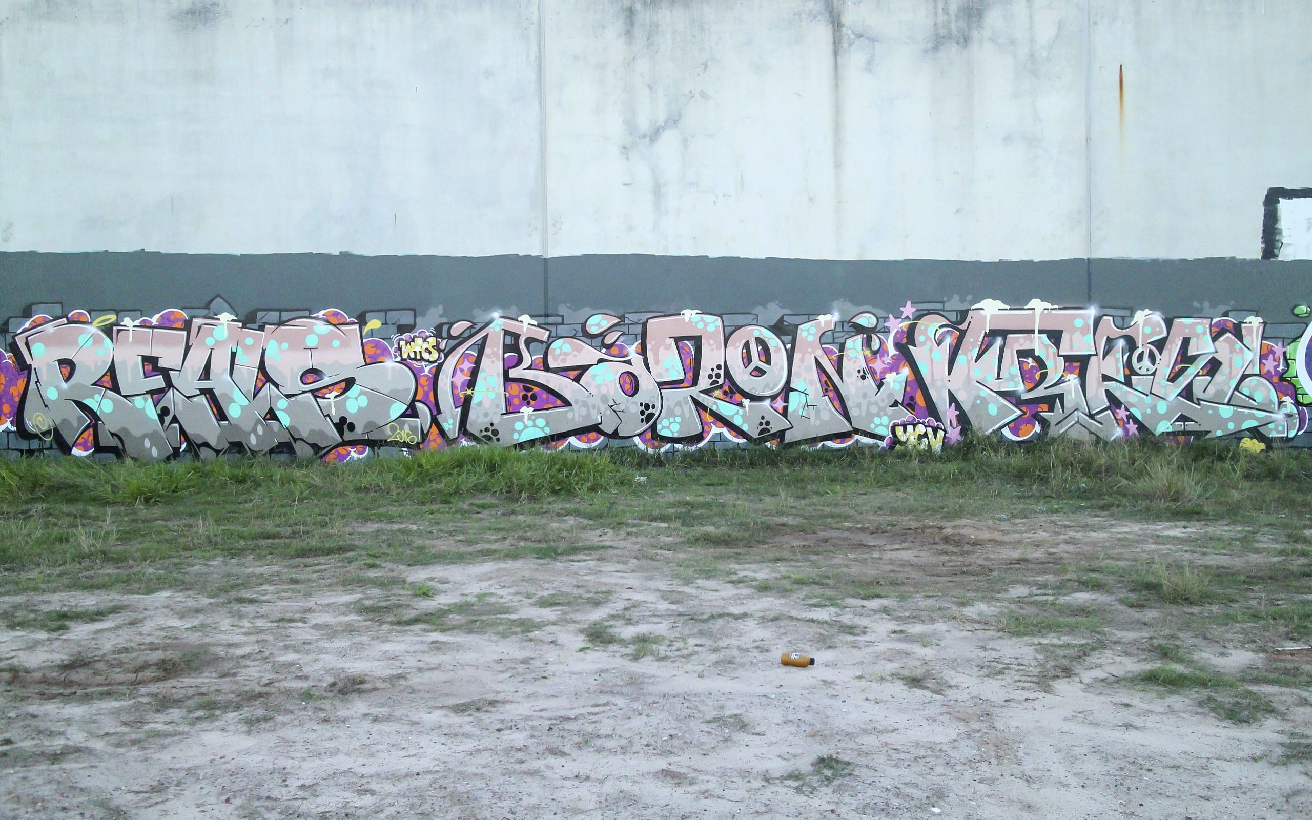 Reals, Baron, Fresco Ironlak Graffiti Brisbane