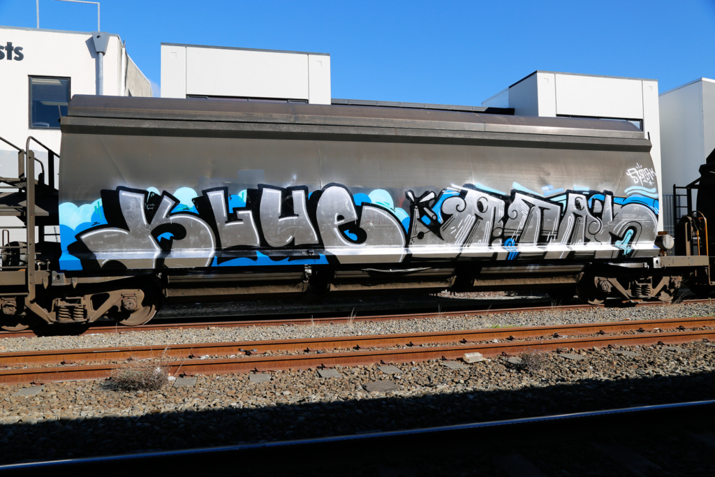 Don’t Fence me In - Ironlak New Zealand BNF FEDUP