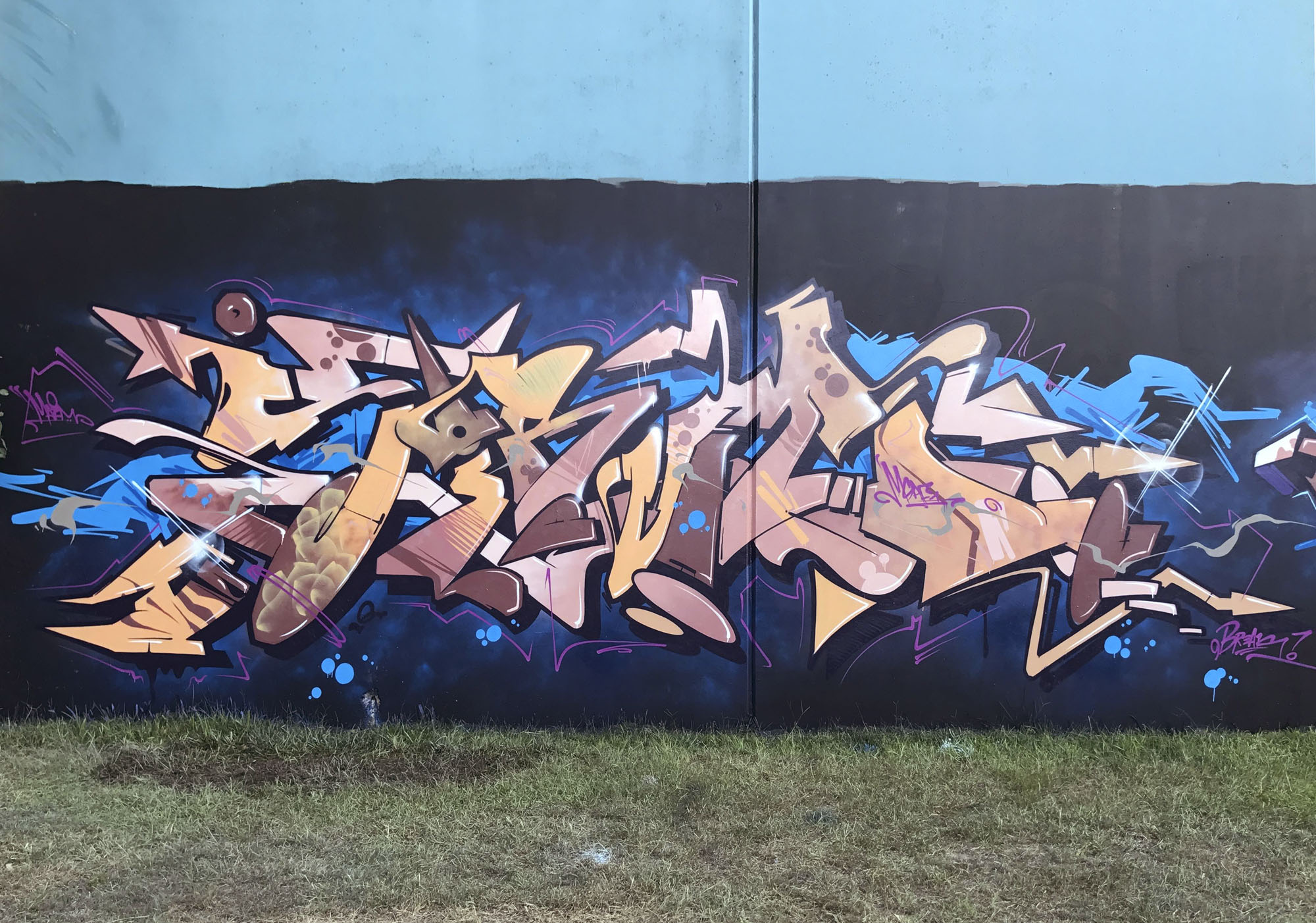 Sirum Ironlak Team graffiti Gold Coast Old Bones